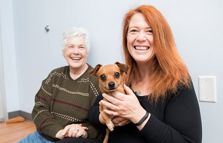 Two smiling women with a small brown dog who is also smiling because he'd just been adopted