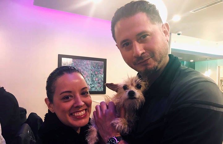 Man and woman holding a small scruffy dog they'd just adopted