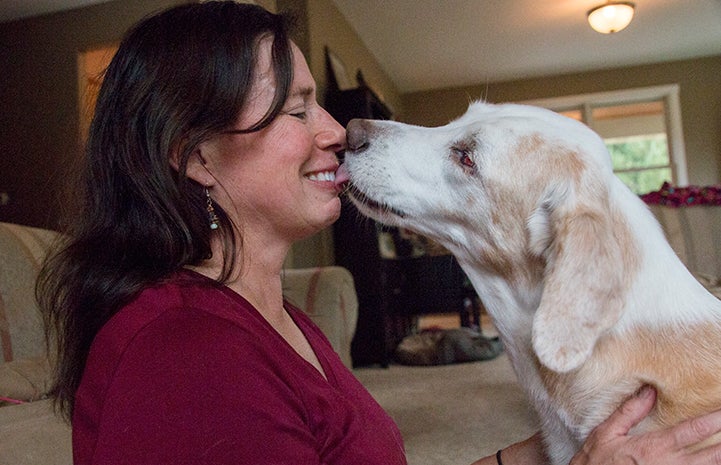 Faith the dog giving a kiss to a smiling woman