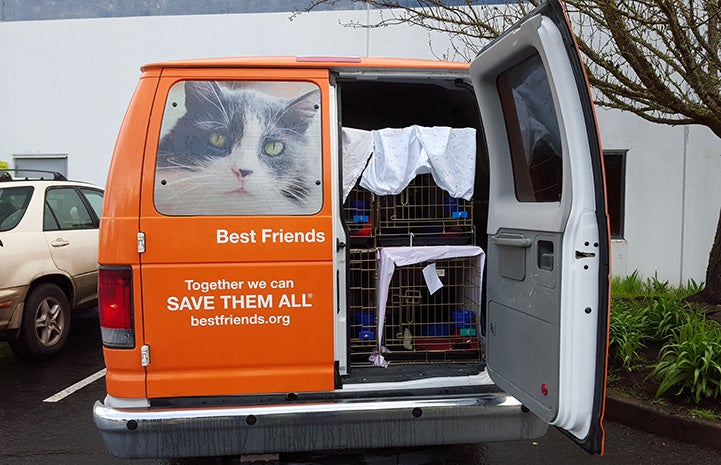 The back door of the transport van open showing kennels stacked on top of each other