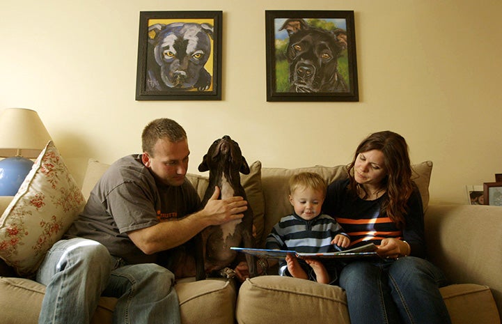 Vicktory dog Cherry sitting on a couch with his family who are reading to their child