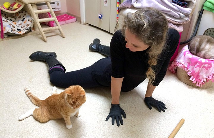 Annabelle doing a yoga pose with Solarflare the cat