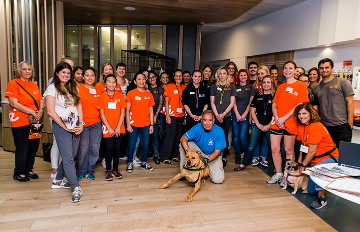 Tyler the once rowdy dog with staff and volunteers at the Clear the Shelters event at Best Friends in New York