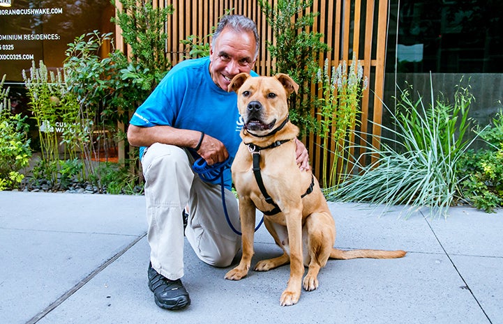 Peter began to visit Tyler the dog at least four days a week, walking and training him