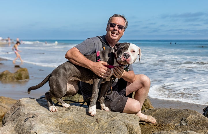Nina the dog joined Todd and his family for a Father’s Day celebration on the beach