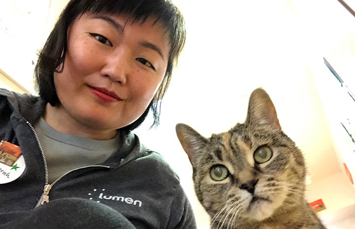 Volunteer Deborah posing with a brown tabby cat