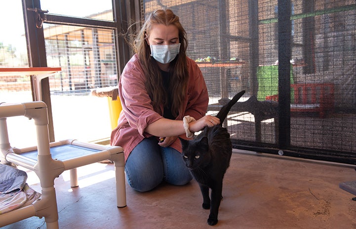 Caregiver Ashley petting Peridot the cat