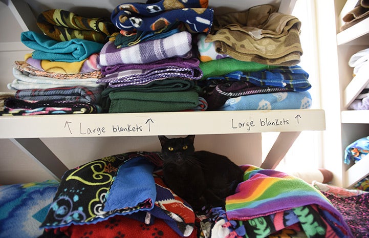 A closet area in Cat World, containing lots of colorful folded blankets with a black cat lying on one stackc