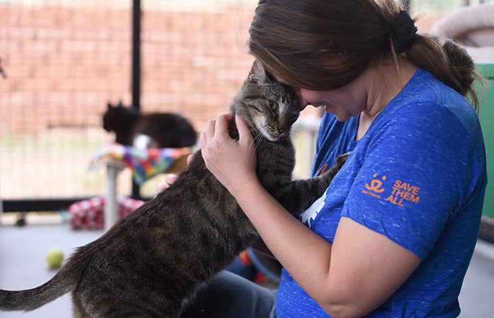 A woman wearing a blue T-shirt with Save Them All on the sleeve bumping her forehead with a gray tabby cat in her lap