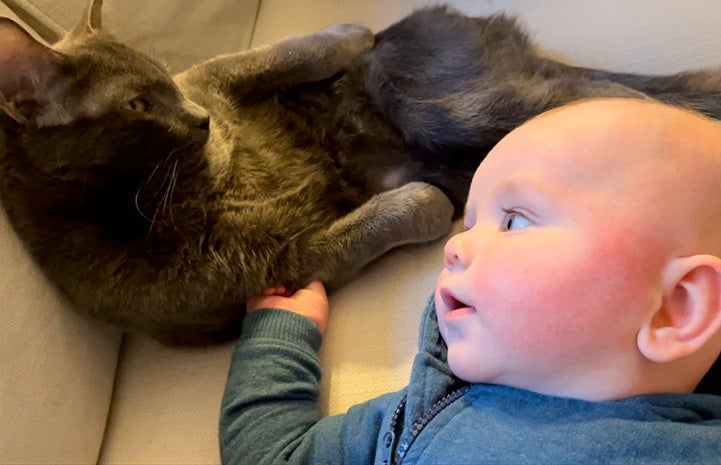 Baby Ollie looking over lovingly at Bruce the cat and reaching out with his little hand