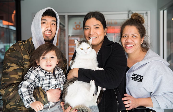 Dwight Schrute, the white and brown tabby cat, getting adopted by the  Ayoso family