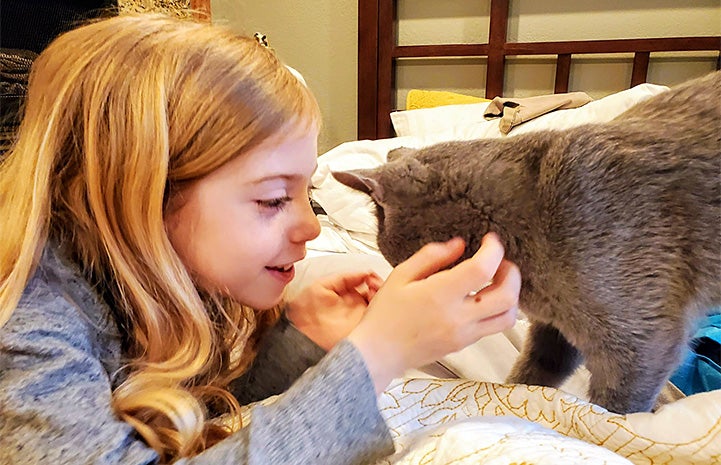 Mila the young girl smiling and petting her new gray cat
