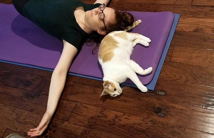 Orange and white cat lying on a mat next to a person lying down with eyes closed and arms outstretched