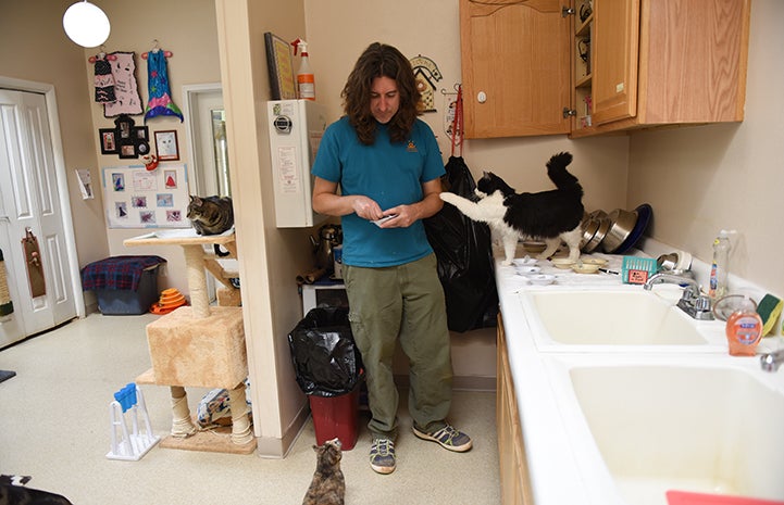 Zorro, the black and white tuxedo cat, reaching out with is paw toward Eric the caregiver