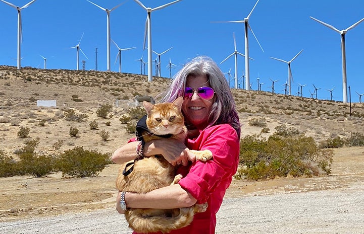 Woman holding Steak the orange tabby cat in front of some wind turbines