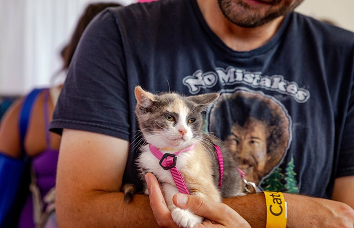 Man wearing a Bob Ross T-shirt holding a small calico kitten
