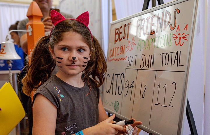 Young girl wearing cat ears updating adoption numbers at CatCon on a dry erase board