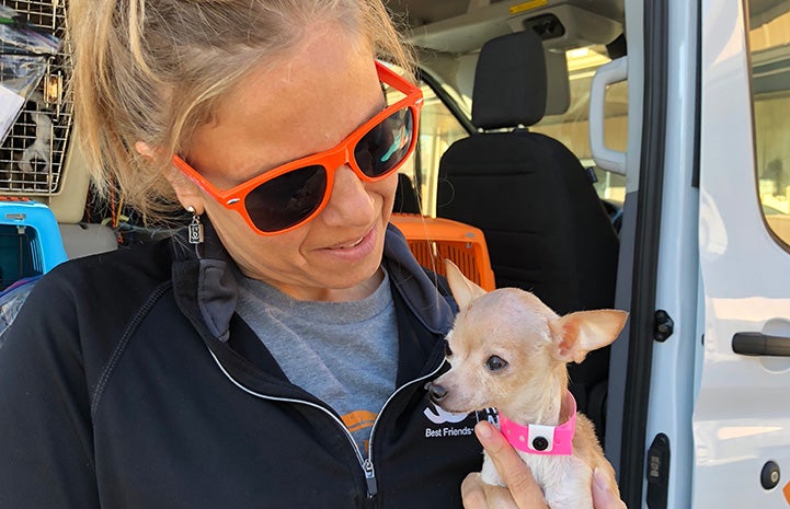 Woman wearing orange sunglasses holding Bambi the Chihuahua