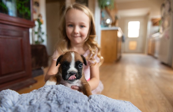 Young girl holding Taco the puppy with a cleft palate who is licking his lips