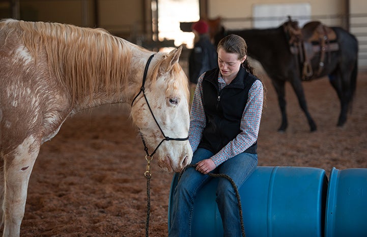 Woman sitting on a blue barrel petting a horse whose head is by her lap