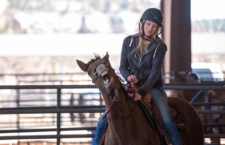 Woman wearing a helmet riding a horse in an arena and the horse has his mouth open