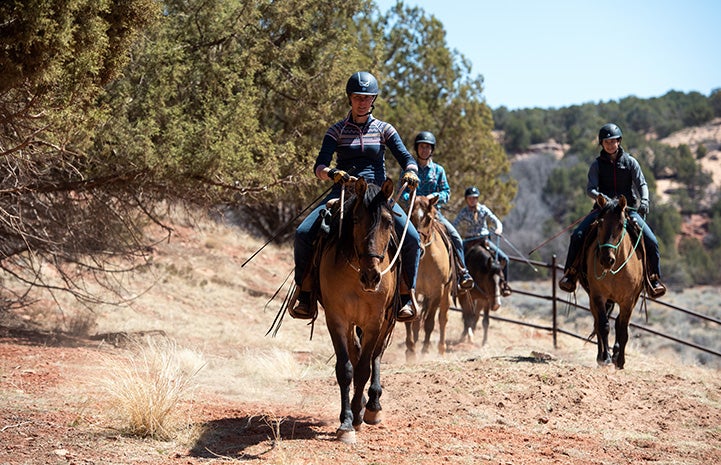 Group of people riding horses outside on a trail