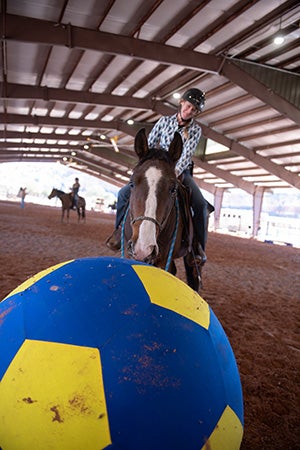 Person riding a horse with a giant blue and yellow play ball in front of them