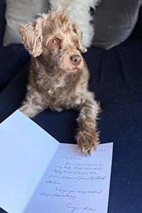 Count Chocula the dog lying on a card sent to him