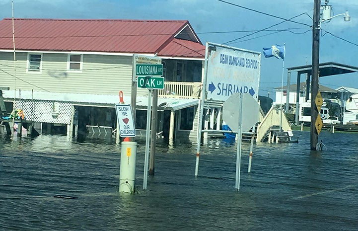 An area of town that's flooded under water