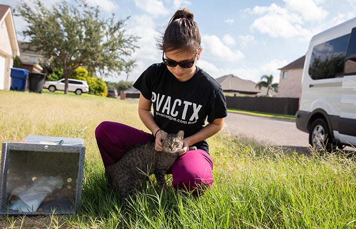 Woman wearing a PVACTX T-shirt sitting on the ground with an ear-tipped cat in her lap