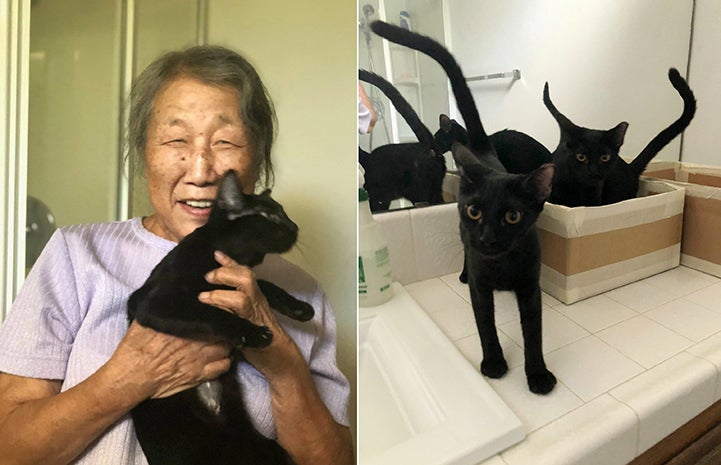 Best Friends donor holding a black cat, next to another photo of two black cats