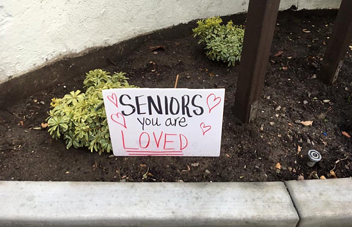 "Seniors You Are Loved" sign in the soil next to some bushes