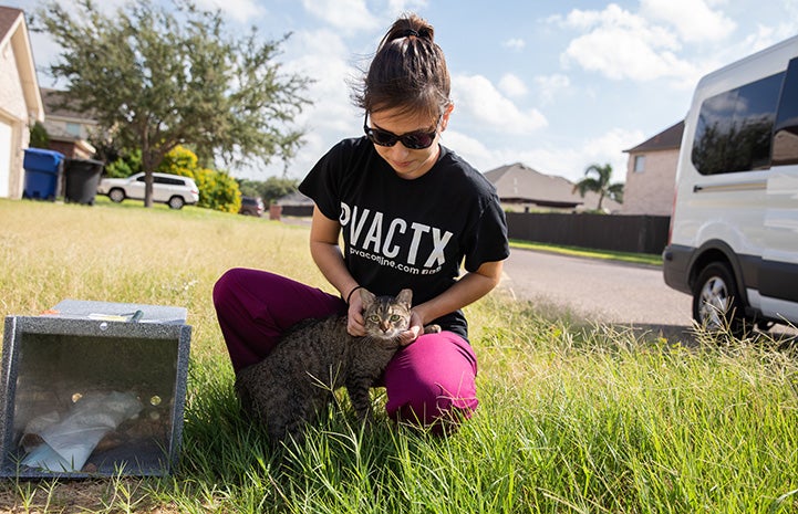 Woman wearing a Palm Valley Animal Society T-shirt posing next to and petting a brown tabby community cat