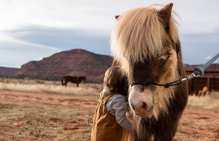 Young girl hugging Phantom the mini horse while out in a field