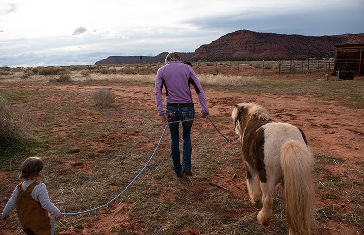 Woman walking outside holding two leads, one with a young girl on the end and the other a mini horse