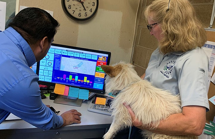 Two Madera County Animal Services employees looking at a computer, one holding a small fluffy dog