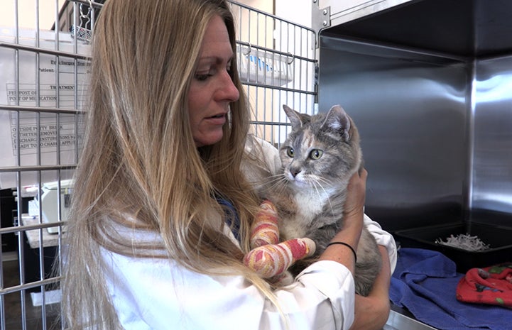 Dr. Kirsten Doub holding Sophie the cat the day after surgery