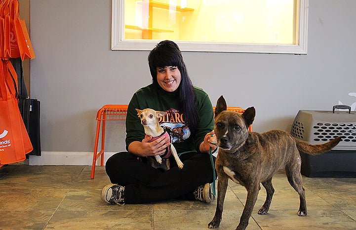 Diamond the brindle dog has been adopted