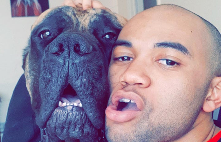 Selfie of the faces of Ryan Hoo and Hazel the mastiff dog