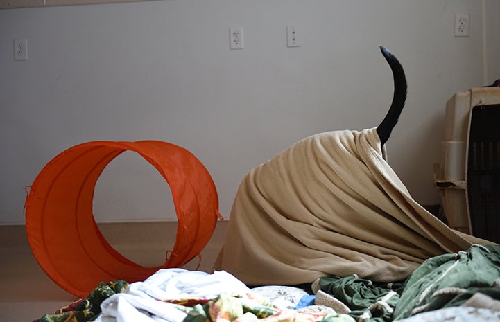 Castiel has plenty of blankets in his room