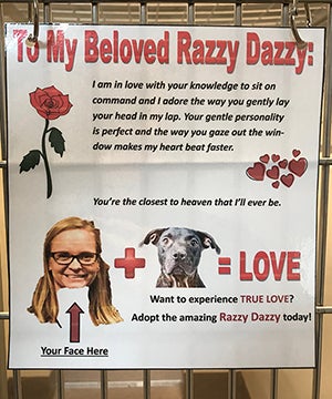 Razzy Dazzy the dog's love letter at LifeLine Animal Project