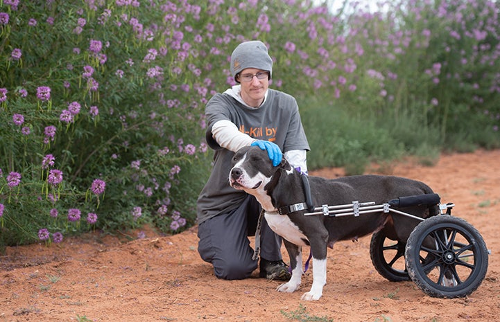 Caregiver Paul with Audrey the dog in a canine wheelchair