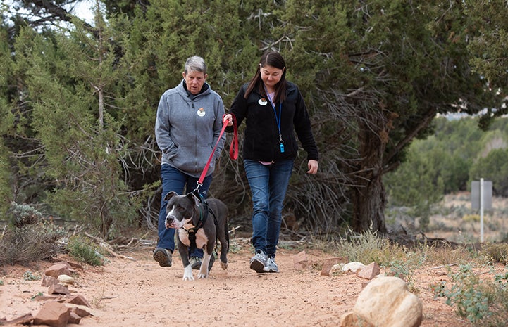 Two volunteers walking Audrey the dog, without a wheelchair needed