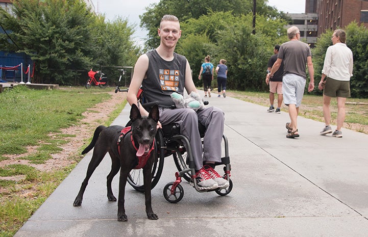 Bagel the dog standing by Cougar Clifford in his wheelchair on a sidewalk