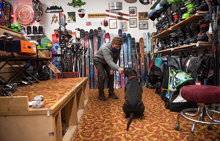 Man wearing a mask giving a treat to Dakota the dog in the ski shop