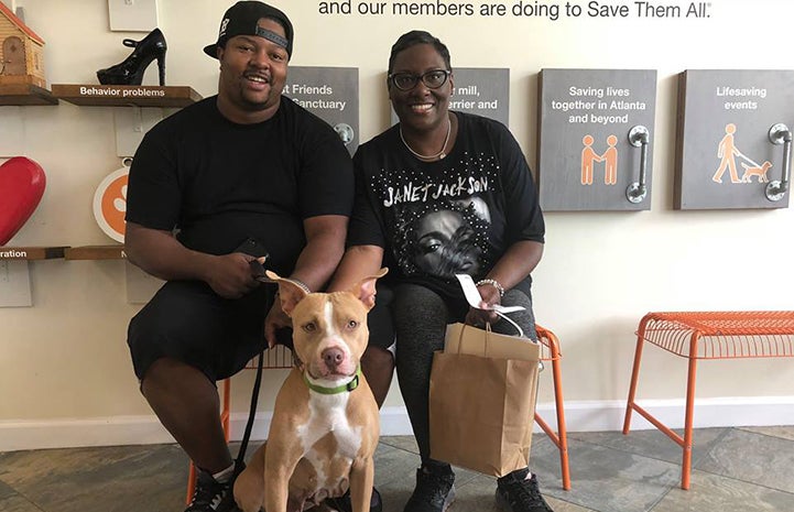 Duchess the dog with her new family
