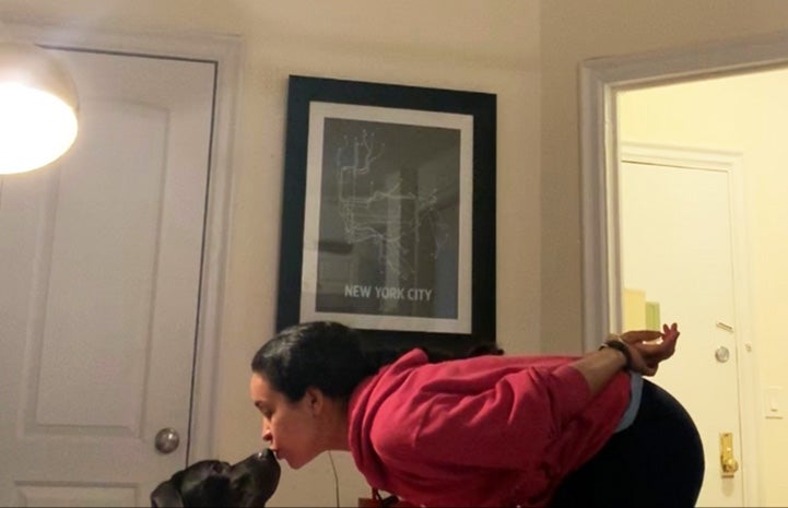 Woman bending over to kiss Gus the dog in front of a New York City framed picture