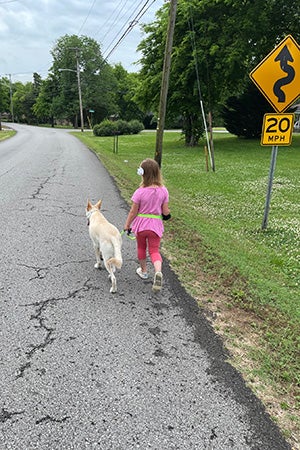 Hanz the German shepherd being walked down the street by a young girl