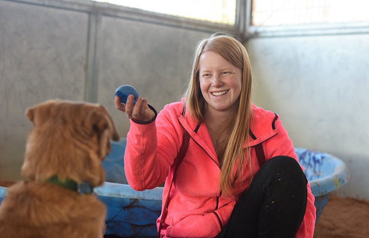 Smiling woman holding a blue ball and a brown dog looking at it