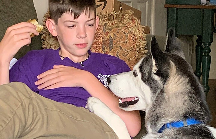 Young boy on couch while Grand the husky looks at him